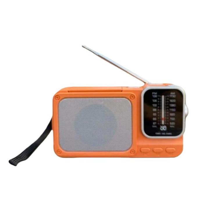 Radio portatile W-916 FM/AM doppia banda con luce lettura