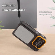 Radio portatile W-916 FM/AM doppia banda con luce lettura