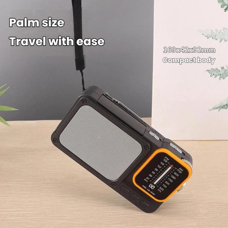 W-916 Portable Pointer Radio With Reading Light FM/AM Dual-Band Radio