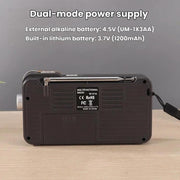 Radio portatile W-916 FM/AM doppia banda con luce lettura