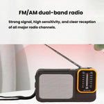 Radio portatile W-916 FM/AM doppia banda con luce lettura