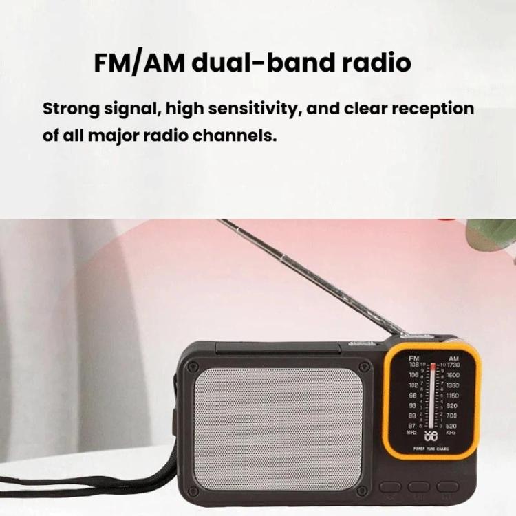 Radio portatile W-916 FM/AM doppia banda con luce lettura