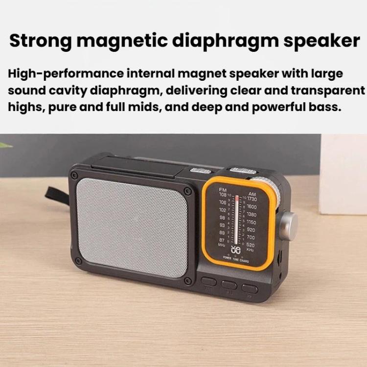 Radio portatile W-916 FM/AM doppia banda con luce lettura