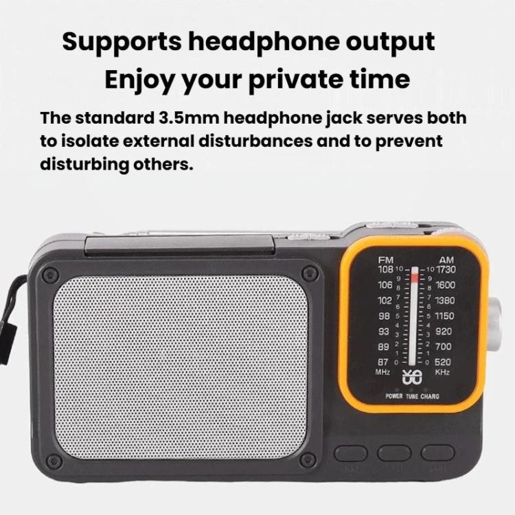 Radio portatile W-916 FM/AM doppia banda con luce lettura
