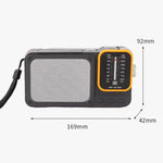 Radio portatile W-916 FM/AM doppia banda con luce lettura