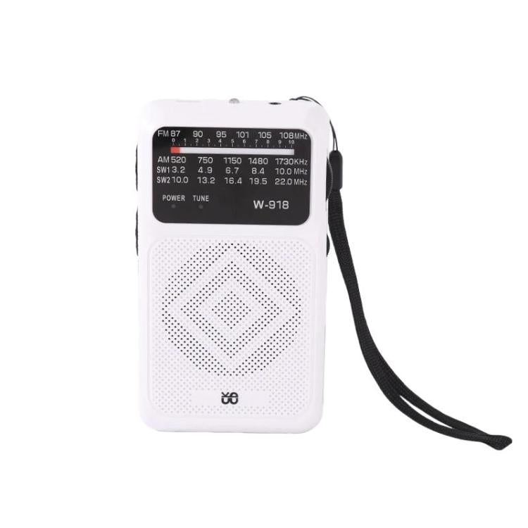 Radio W-918 Pointer a doppia alimentazione FM/AM/SW a banda intera