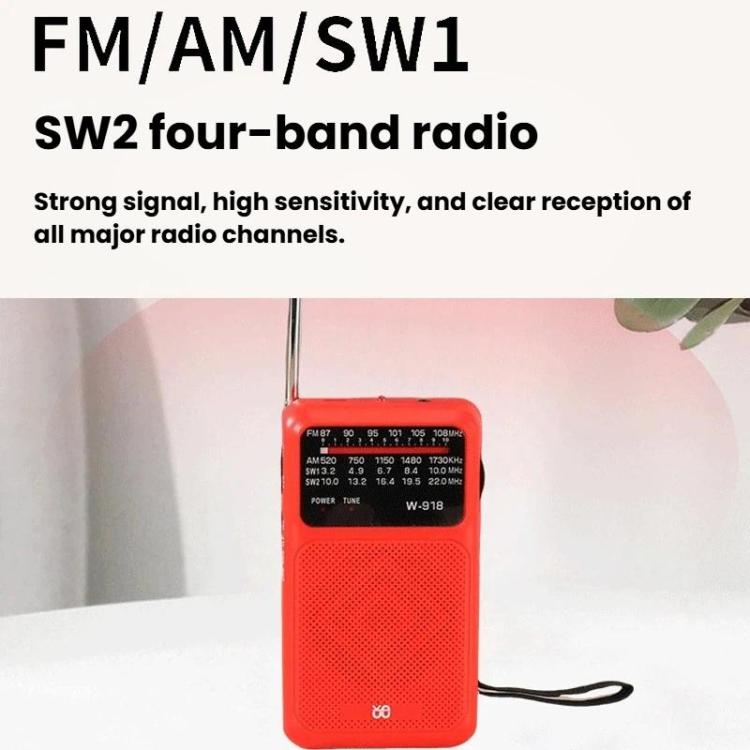 Radio portatile W-918 FM AM SW a doppia alimentazione