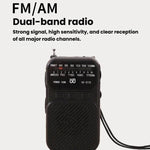 Radio portatile W-213 FM/AM con torcia e clip