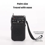 Radio portatile W-213 FM/AM con torcia e clip
