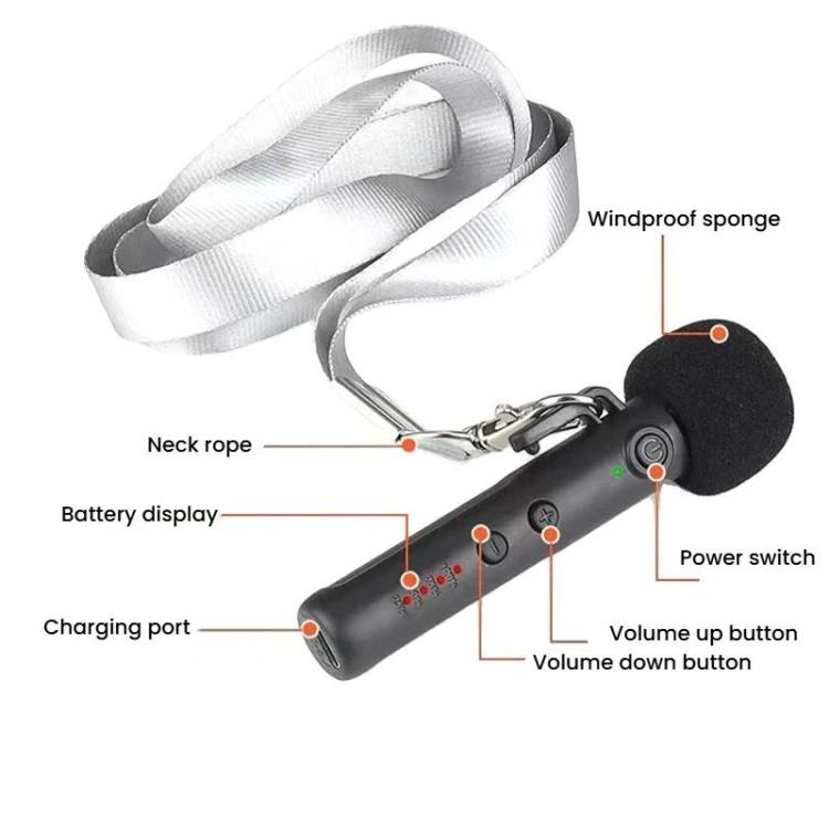 Microfono wireless portatile condensatore DIYO-1136