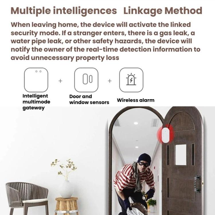 Sensore intelligente Zigbee 2 in 1 per porte e finestre, compatibile con Home Assistant., ZG-102Z