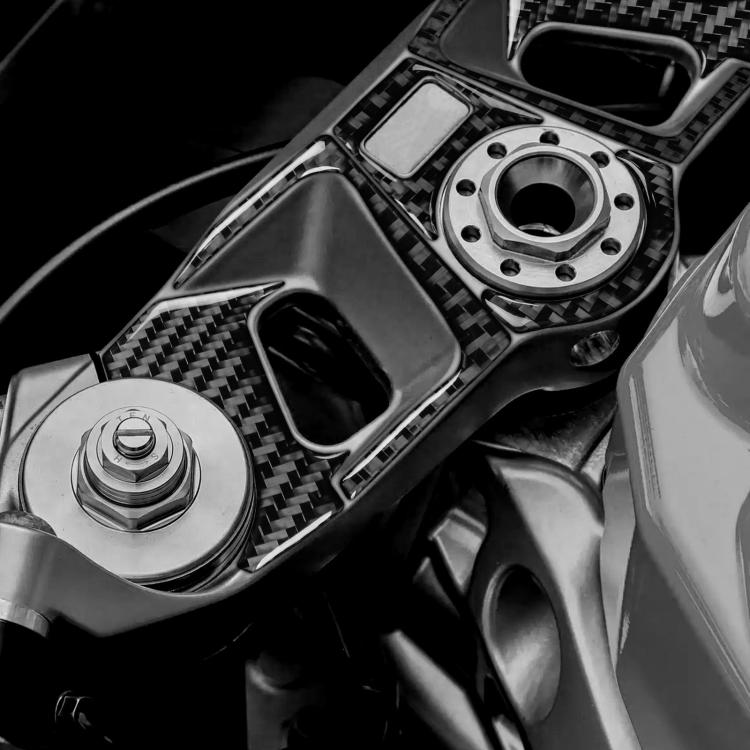 Adesivi decorativi in fibra di carbonio per Aprilia RS 660
