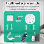 Interruttore wireless Zigbee per la casa intelligente, ZG-101ZL