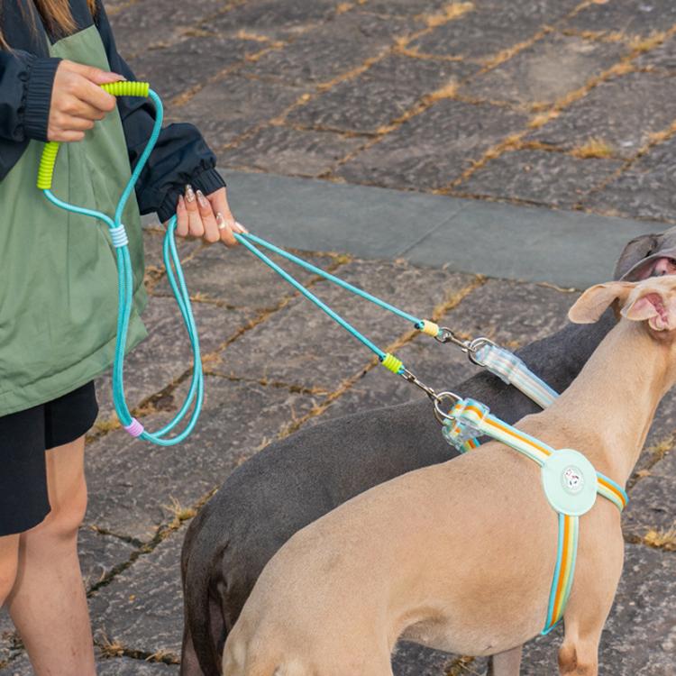 Guinzaglio per cani antifuga a catena P da uno a due