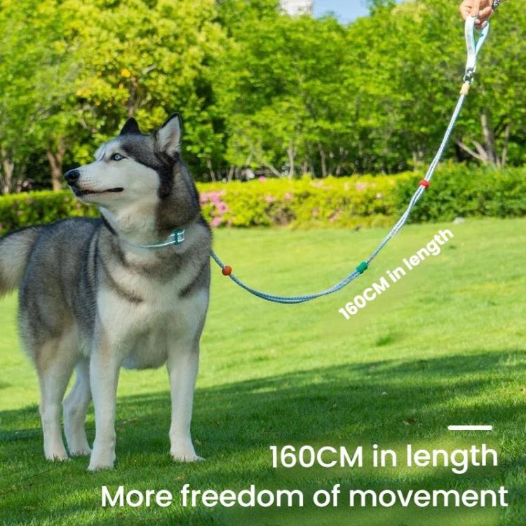 Guinzaglio a doppia sezione a forma di P per animali domestici, collare multifunzionale, guinzaglio da passeggiata, S, M