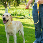 Guinzaglio a doppia sezione a forma di P per animali domestici, collare multifunzionale, guinzaglio da passeggiata, S, M