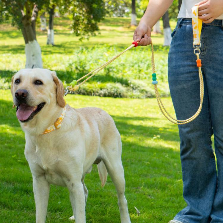 Guinzaglio a doppia sezione a forma di P per animali domestici, collare multifunzionale, guinzaglio da passeggiata, S, M