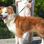 Guinzaglio automatico retrattile per cani, lungo 3 metri, per uso esterno.