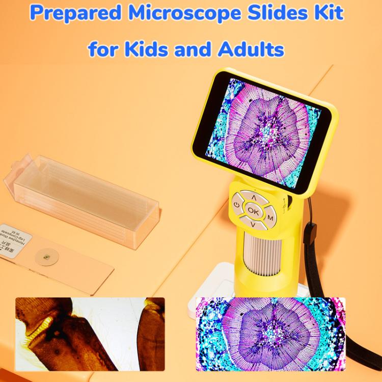 H113 Microscopio digitale portatile per bambini con luce LED