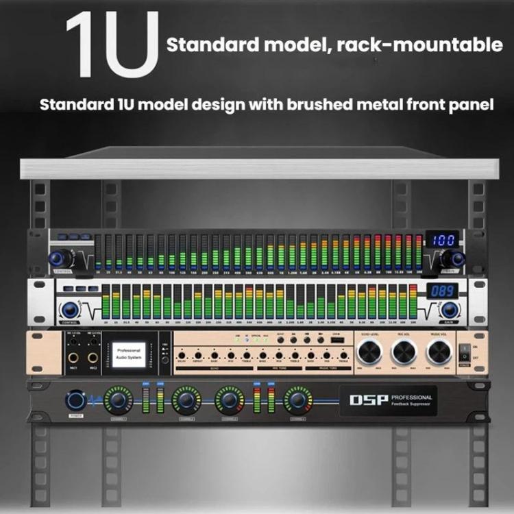 Equalizzatore digitale audio 31 bande con riduzione rumore