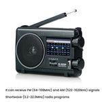 Radio portatile TECSUN R-305P con sintonizzatore analogico