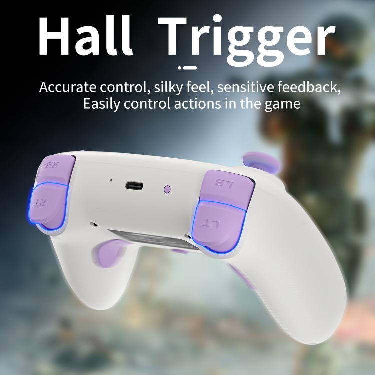 ANBERNIC RGP01 Controller di gioco multipiattaforma per PC e Swit
