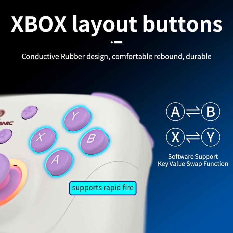 ANBERNIC RGP01 Controller di gioco multipiattaforma per PC e Swit