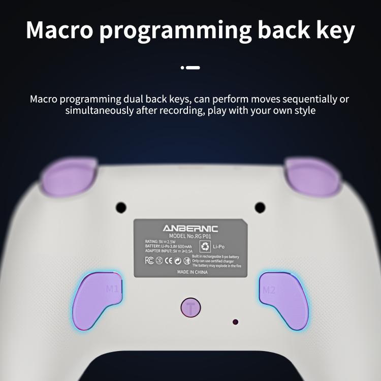 ANBERNIC RGP01 Controller di gioco multipiattaforma per PC e Swit
