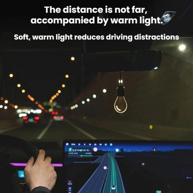 Lampadine LED per auto luci ambientali 5V 2,5W