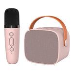 Altoparlante Bluetooth portatile con microfono rimovibile, set karaoke per bambini e famiglie., Sky Blue Dual Mic, Pink Dual Mic, White Dual Mic, Sky Blue Single Mic, Pink Single Mic, White Single Mic