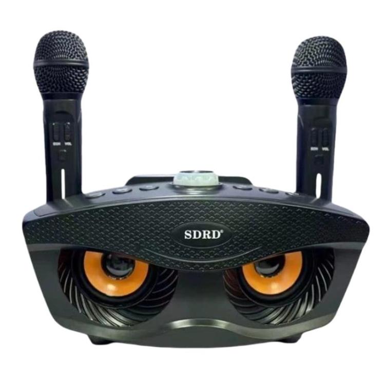 Altoparlante Bluetooth SDRD SD306S con doppio microfono