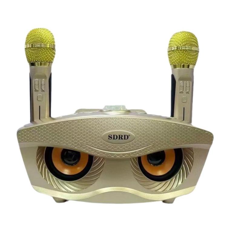 SDRD SD306S Wireless Bluetooth Speaker With Dual Microphone Portable Karaoke Machine For Singing & Live Stream