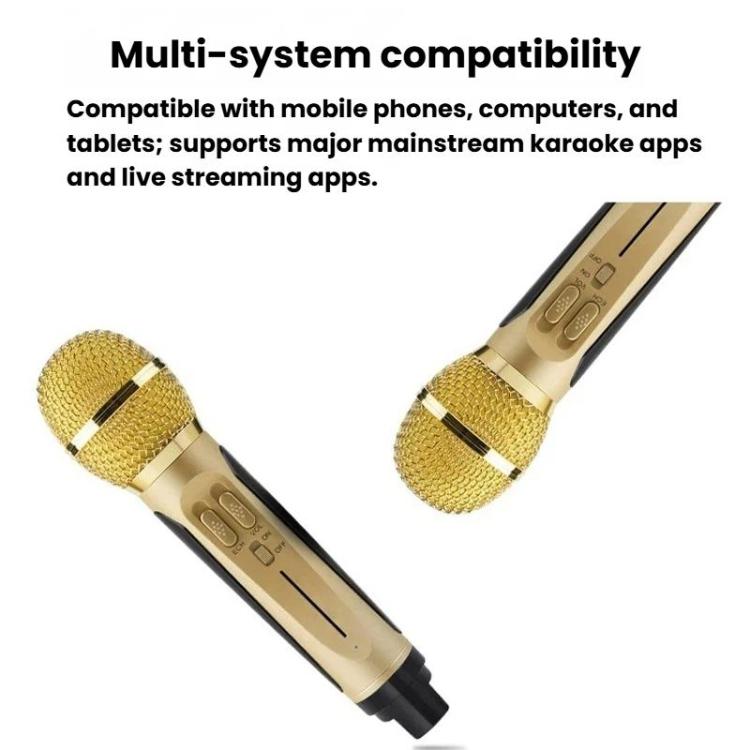 SDRD SD306S Wireless Bluetooth Speaker With Dual Microphone Portable Karaoke Machine For Singing & Live Stream