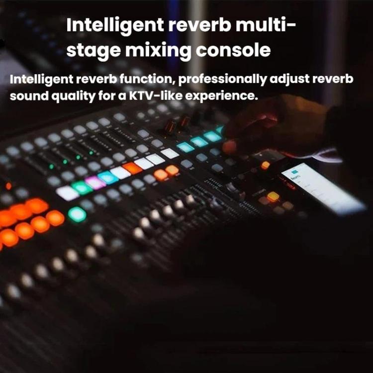 SDRD SD306S Wireless Bluetooth Speaker With Dual Microphone Portable Karaoke Machine For Singing & Live Stream