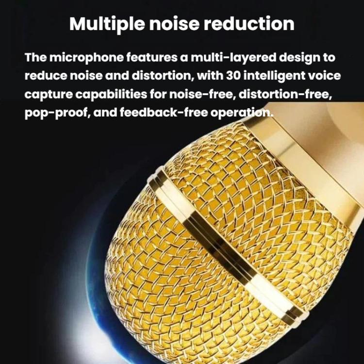 SDRD SD306S Wireless Bluetooth Speaker With Dual Microphone Portable Karaoke Machine For Singing & Live Stream