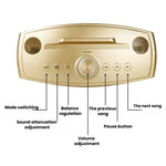 Altoparlante Bluetooth SDRD SD306S con doppio microfono
