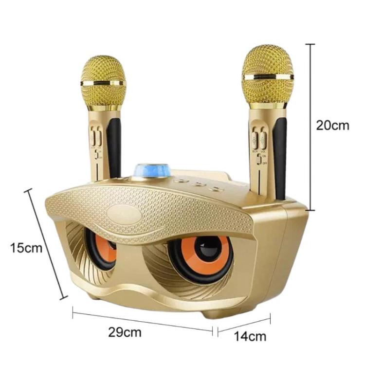 SDRD SD306S Wireless Bluetooth Speaker With Dual Microphone Portable Karaoke Machine For Singing & Live Stream