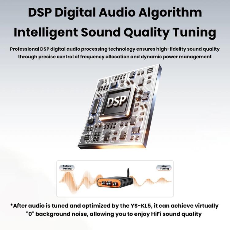 Amplificatore digitale HiFi 600W Bluetooth 5.3 TPA3255
