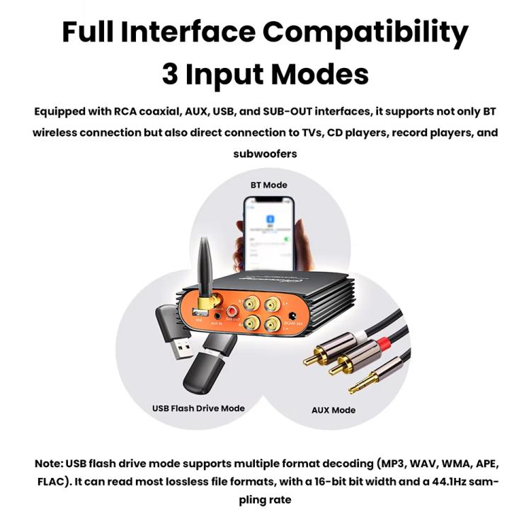 Amplificatore digitale HiFi 600W Bluetooth 5.3 TPA3255