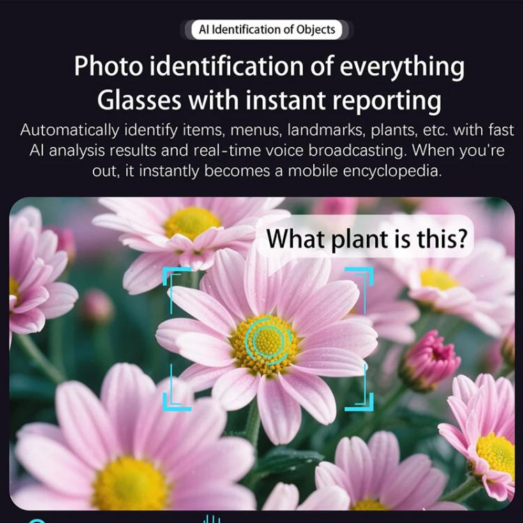 Occhiali intelligenti M02S con fotocamera HD da 8 MP, video 1080p, assistente vocale AI, registrazione, traduzione, Transparent, Sunglasses, Photochromic, Transparent+Sunglasses, Transparent+Photochromic