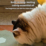 Tiragraffi esagonale ad incastro antiscivolo, portatile e lavabile, per affilare gli artigli dei gatti.