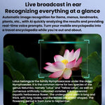 Gli occhiali intelligenti V03-T6 supportano fotocamera da 8 MP, registrazione video, registrazione audio e traduzione tramite IA.