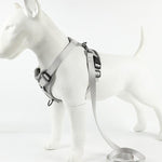 Set composto da pettorina e guinzaglio riflettenti per animali domestici, pettorina traspirante a prova di fuga per cani., S, M, L, XL