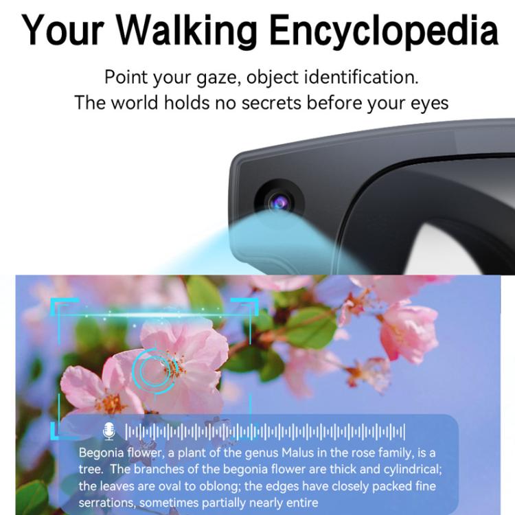 Gli occhiali intelligenti AIMB-G2 supportano una fotocamera da 8 MP, la traduzione tramite IA, il riconoscimento umano e la registrazione audio.
