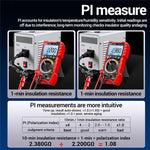 Tester isolamento digitale ANENG MH17 1000V