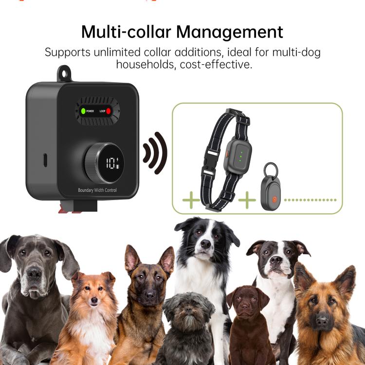 Recinzione elettrica per cani da esterno F600 con filo, controllo di precisione a 10 livelli., F600