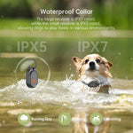 Recinzione elettrica per cani da esterno F600 con filo, controllo di precisione a 10 livelli., F600