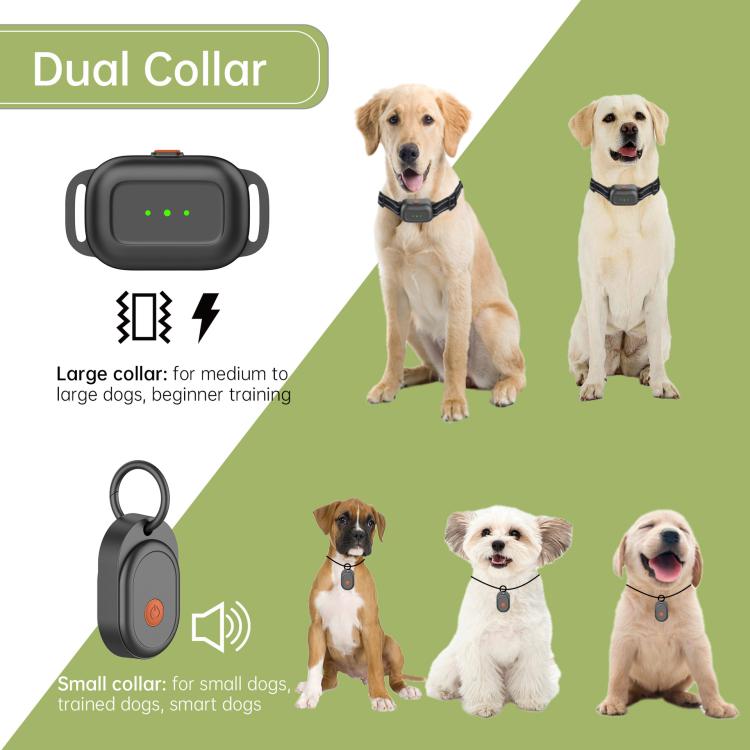 Recinzione elettrica per cani da esterno F600 con filo, controllo di precisione a 10 livelli., F600