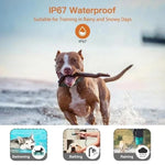 Collare per addestramento cani ricaricabile T740, impermeabile IP67, ideale per l'addestramento di animali domestici., T740