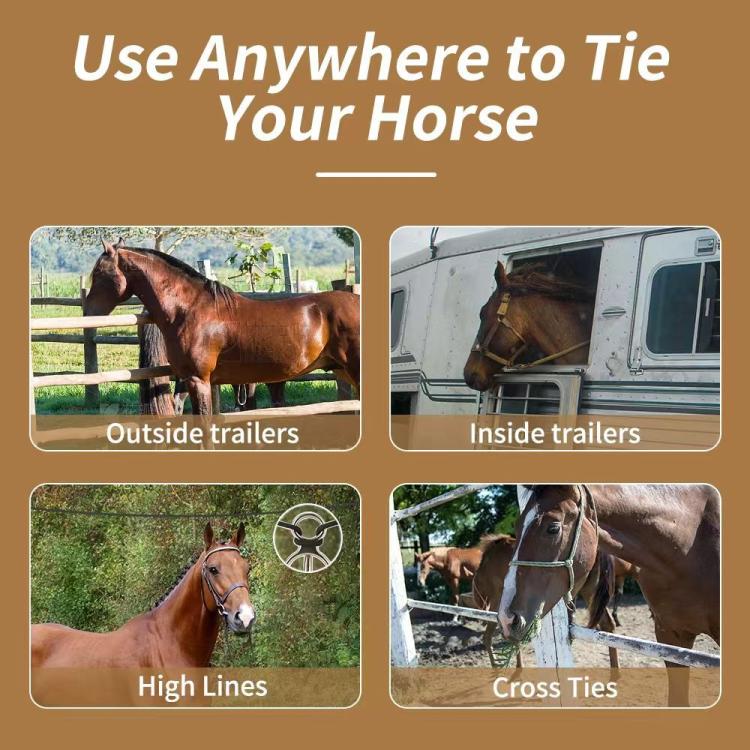 Set di 3 fibbie di sicurezza per funi, in acciaio inossidabile, per scuderie equestri, per legare i cavalli.